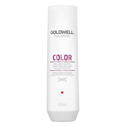 Шампунь для окрашенных волос - Goldwell Dualsenses Color Brilliance Shampoo